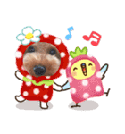 ポコすたんぷ#07（個別スタンプ：19）