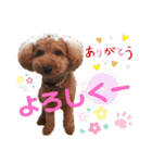 ポコすたんぷ#07（個別スタンプ：21）