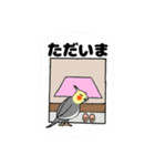 オカメインコのツバメ君・愛（個別スタンプ：13）