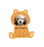 宮武家の三兄弟（個別スタンプ：3）