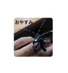 カミキリムシ 気持ち代行（個別スタンプ：2）