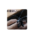 カミキリムシ 気持ち代行（個別スタンプ：10）