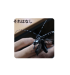 カミキリムシ 気持ち代行（個別スタンプ：18）