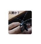 カミキリムシ 気持ち代行（個別スタンプ：21）