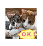 くるみと愉快な仲間猫（個別スタンプ：9）