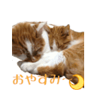 くるみと愉快な仲間猫（個別スタンプ：10）