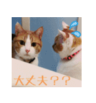 くるみと愉快な仲間猫（個別スタンプ：20）