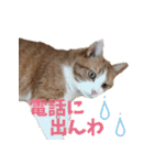 くるみと愉快な仲間猫（個別スタンプ：21）