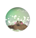 ふぁんたじねずみ（個別スタンプ：5）