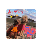 わか☺︎︎しょう☺︎︎りん（個別スタンプ：7）
