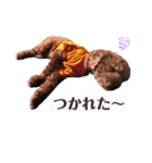 わか☺︎︎しょう☺︎︎りん（個別スタンプ：23）
