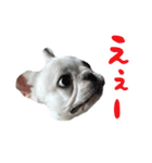かぼすちゃんのスタンプ vol.1（個別スタンプ：9）