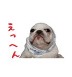 かぼすちゃんのスタンプ vol.1（個別スタンプ：10）