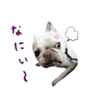 かぼすちゃんのスタンプ vol.1（個別スタンプ：25）