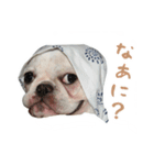かぼすちゃんのスタンプ vol.1（個別スタンプ：26）