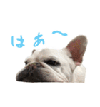 かぼすちゃんのスタンプ vol.1（個別スタンプ：27）