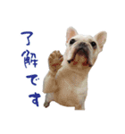 かぼすちゃんのスタンプ vol.1（個別スタンプ：39）