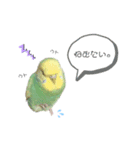 うぃったんスタンプ2（個別スタンプ：3）
