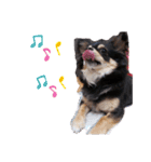 愛犬ネネ②（個別スタンプ：3）