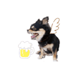 愛犬ネネ②（個別スタンプ：8）