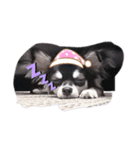 愛犬ネネ②（個別スタンプ：12）