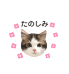 コロン ラブ モウ（個別スタンプ：9）