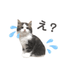 コロン ラブ モウ（個別スタンプ：17）