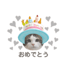 コロン ラブ モウ（個別スタンプ：21）