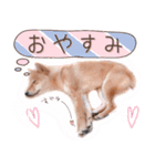 ❮柴犬♡さくらちゃん❯ ほのぼの日和（個別スタンプ：2）