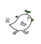 葉っぱ鳥（個別スタンプ：31）