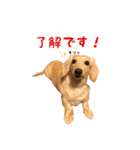 ケアたん2（個別スタンプ：1）