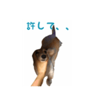 ケアたん2（個別スタンプ：2）