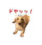 ケアたん2（個別スタンプ：5）