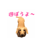 ケアたん2（個別スタンプ：7）