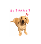 ケアたん2（個別スタンプ：9）