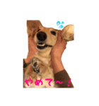 ケアたん2（個別スタンプ：10）