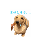 ケアたん2（個別スタンプ：11）