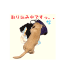 ケアたん2（個別スタンプ：12）