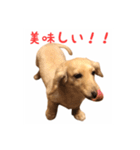 ケアたん2（個別スタンプ：13）