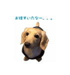 ケアたん2（個別スタンプ：16）