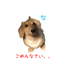 ケアたん2（個別スタンプ：17）