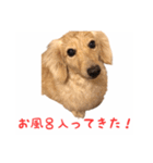 ケアたん2（個別スタンプ：18）