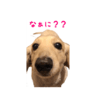ケアたん2（個別スタンプ：19）
