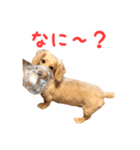 ケアたん2（個別スタンプ：21）