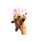 ケアたん2（個別スタンプ：23）