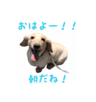 ケアたん2（個別スタンプ：24）