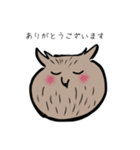 今日のコタンコロカムイーシマフクロウ日々（個別スタンプ：8）