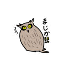 今日のコタンコロカムイーシマフクロウ日々（個別スタンプ：13）