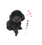 ろっくん1歳（個別スタンプ：5）