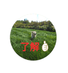 Lepunスタンプ（個別スタンプ：2）